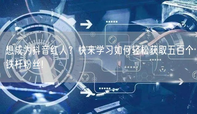 想成为抖音红人？快来学习如何轻松获取五百个铁杆粉丝!