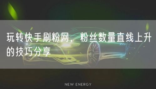玩转快手刷粉网，粉丝数量直线上升的技巧分享