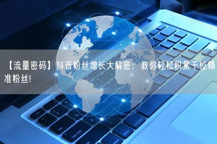 【流量密码】抖音粉丝增长大解密：教你轻松积累千位精准粉丝!