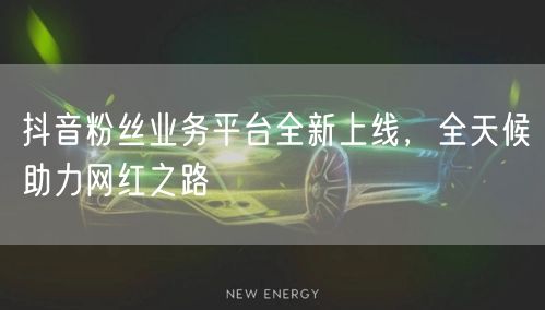 抖音粉丝业务平台全新上线，全天候助力网红之路